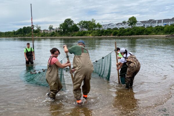 7_UnitedStates_2022©NYSDEC (6)