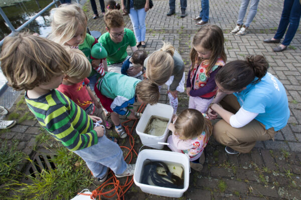 DEN HAAG, NEDERLAND - 24 MEI 2014: Ter ere van het 725-jarig bestaan van het Hoogheemraadschap van Delfland werden glasaaltjes uitgezet bij het Gemaal Schoute in Den Haag.