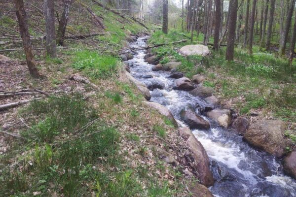 Fishway in River Hjoån