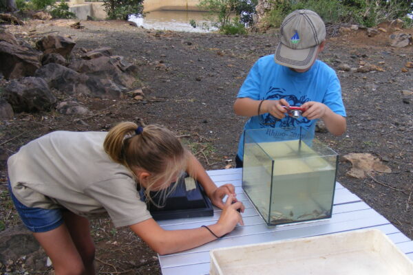 KNP Fishway Day 2016 (15)