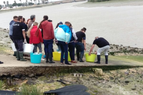 LIBERANDO ANGUILAS 1 WFMD2018 ZAPORITO