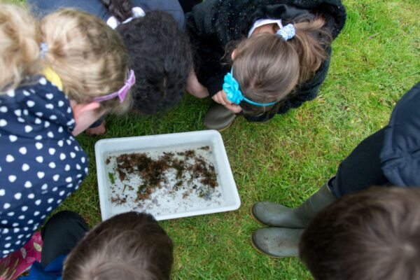 Culmstock School release Salmon into the River Culm 
Photo by Paul Glendell  Tel 01626 835311