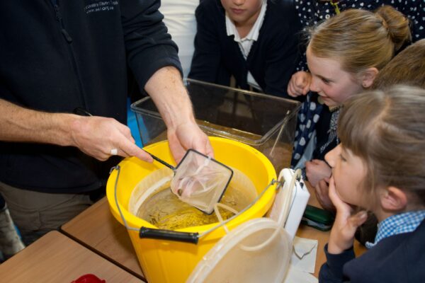 Culmstock School release Salmon into the River Culm 
Photo by Paul Glendell  Tel 01626 835311