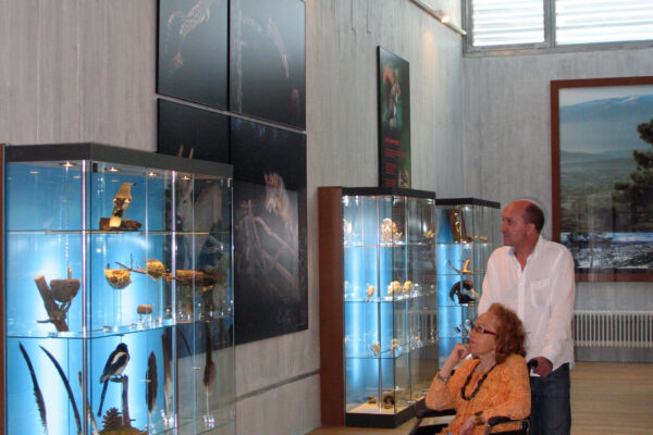 MUSEO VALLE DEL ALBERCHE IMG_3966©José Luis RodríguezIMG_0700