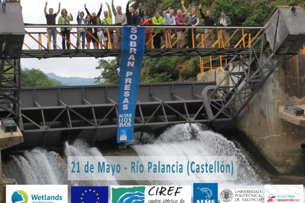 Spain_RiverPalancia_Cstellon_2016_WFMD (1)