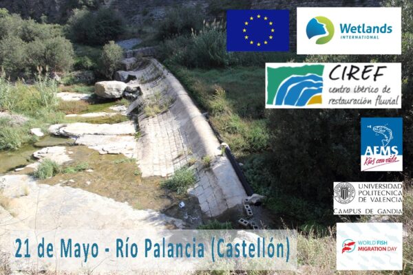 Spain_RiverPalancia_Cstellon_2016_WFMD (6)