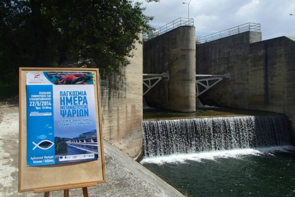 Toxotes Dam