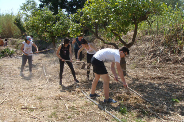 Voluntariado_Arboleja_2016d