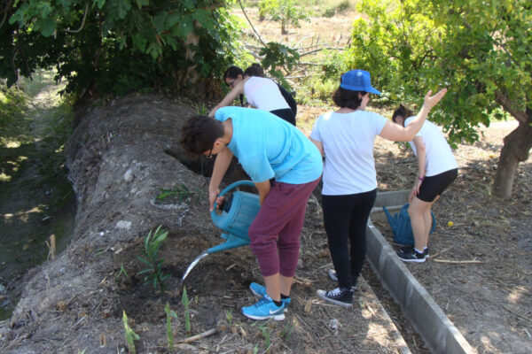 Voluntariado_Arboleja_2016e