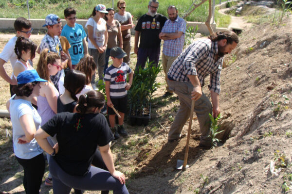 Voluntariado_Arboleja_2016f