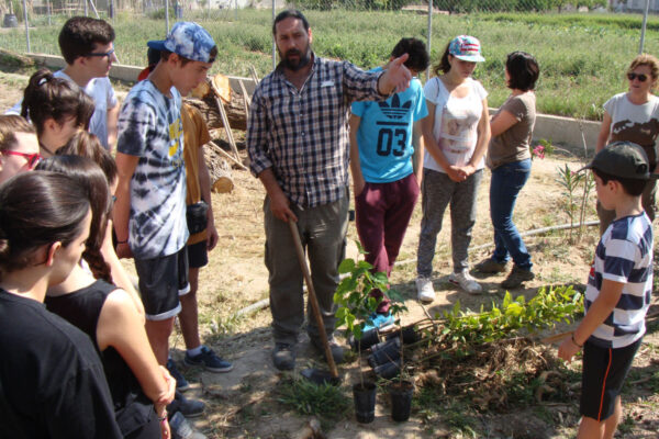 Voluntariado_Arboleja_2016g