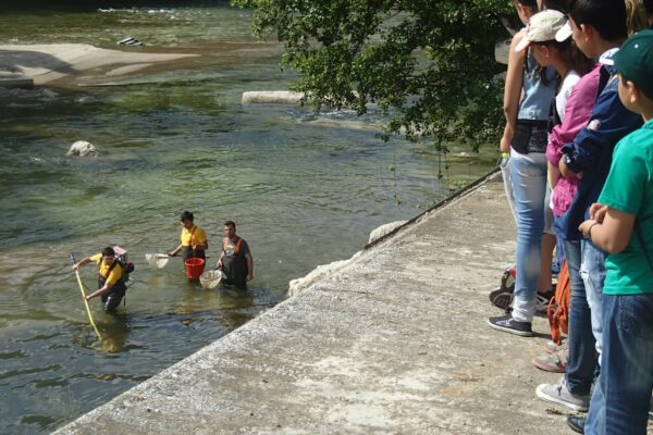 electrofishing