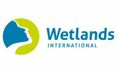 Wetlands International logo - RGB - High res (2)