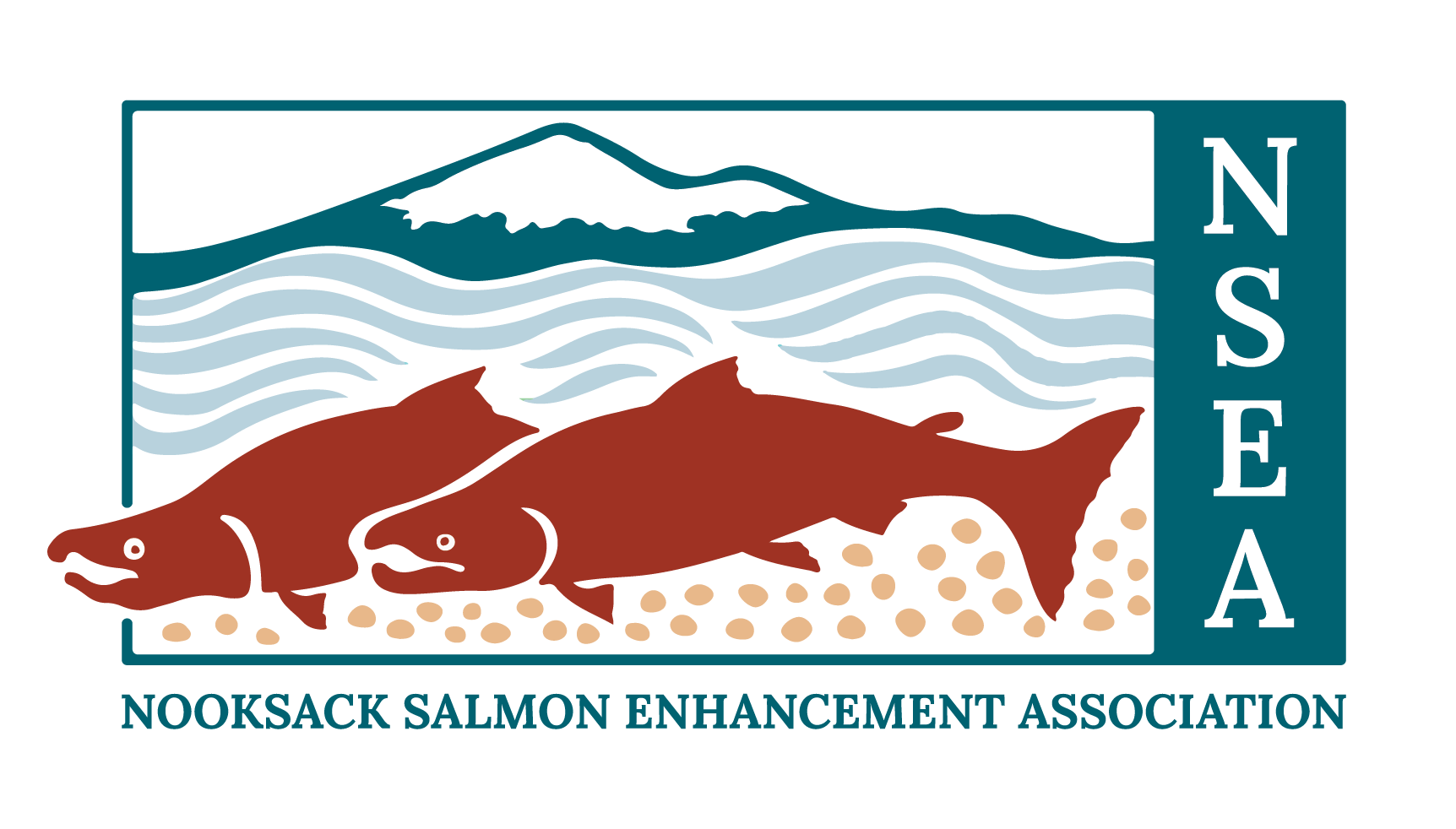 Nooksack Salmon Enhancement Association